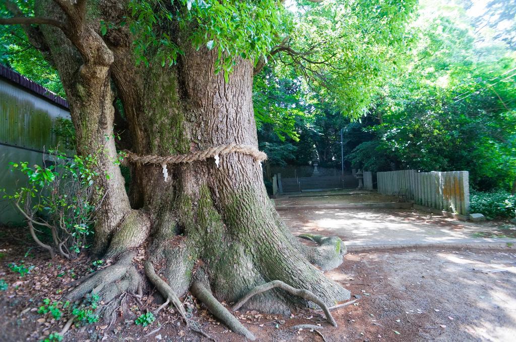 なにもない幸せな島のリトリート宿 The Bonds Matsuyama  Extérieur photo